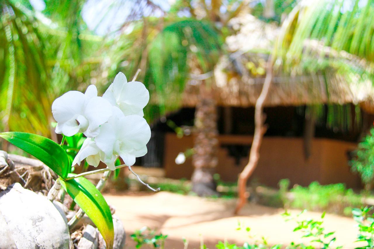 Yalaway Nature Villa Tissamaharama Exteriör bild